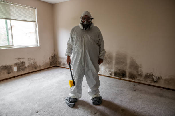 Best Professional Mold Removal  in Mirrormont, WA